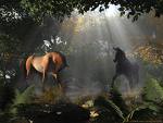 chevaux